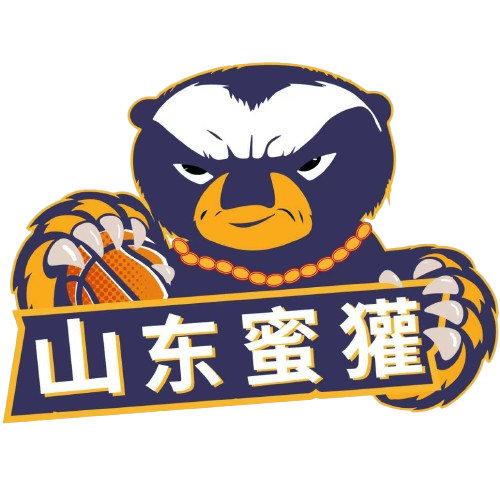 阿达纳德米尔体育